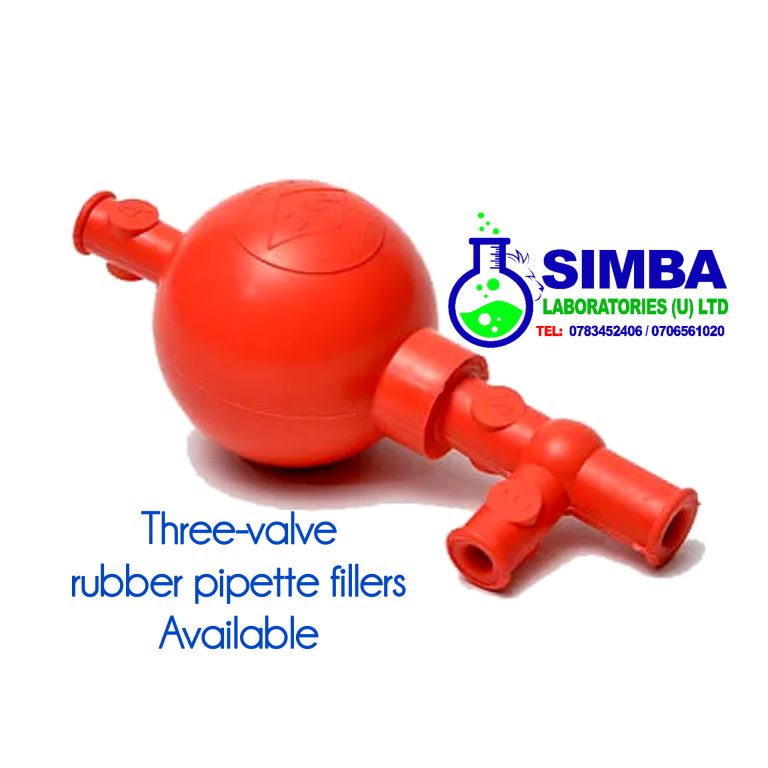 InShot_20260203_084212416